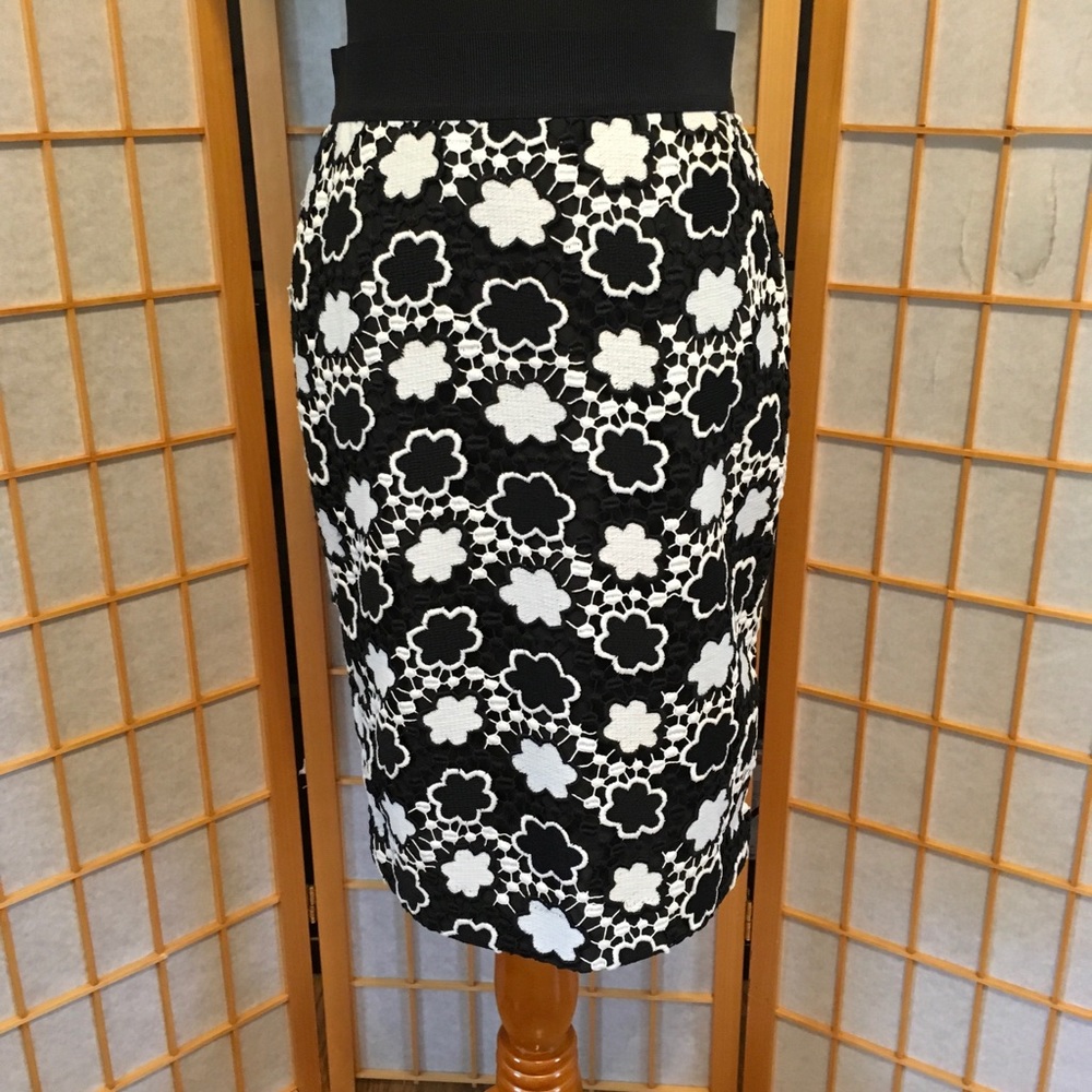 👠🖤Host Pick!🖤💋Ann Taylor Lace Overlay Skirt